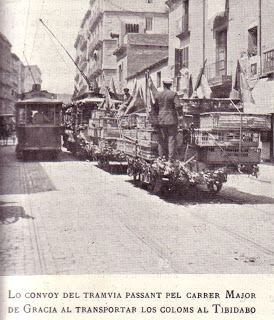 Transporte de palomas I